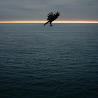 ADRIFT
