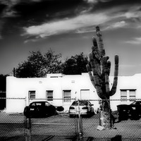 Jagged Desert 