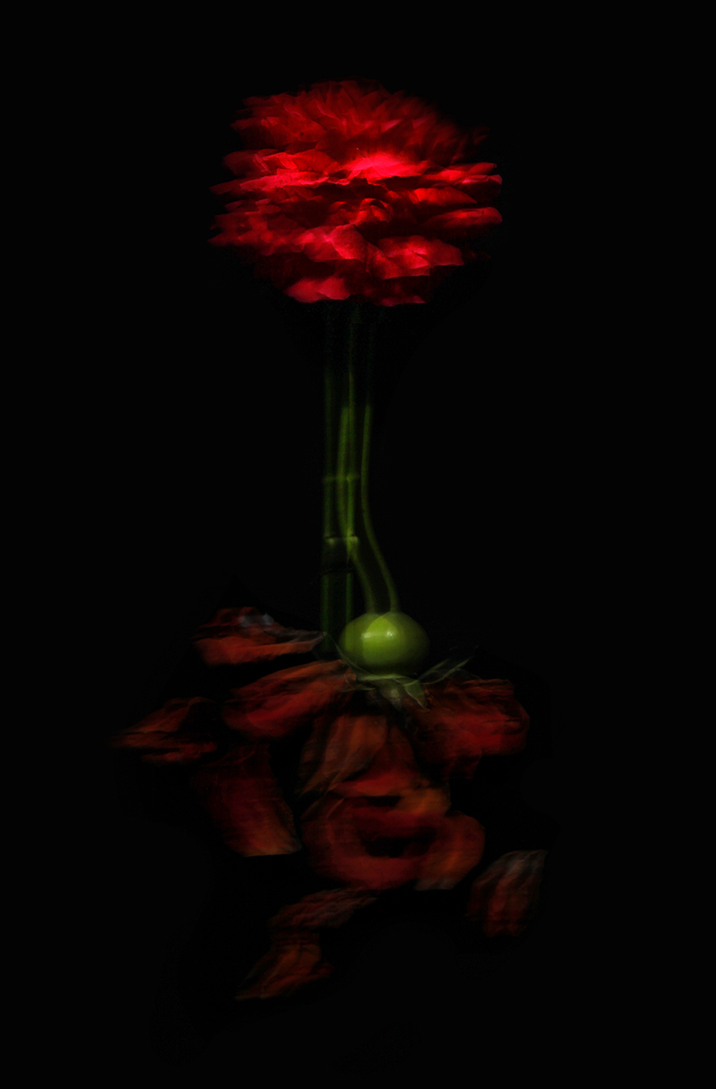 ANTHESIS