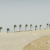 SANDS OF THE FUTURE