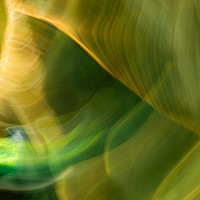 BLUR