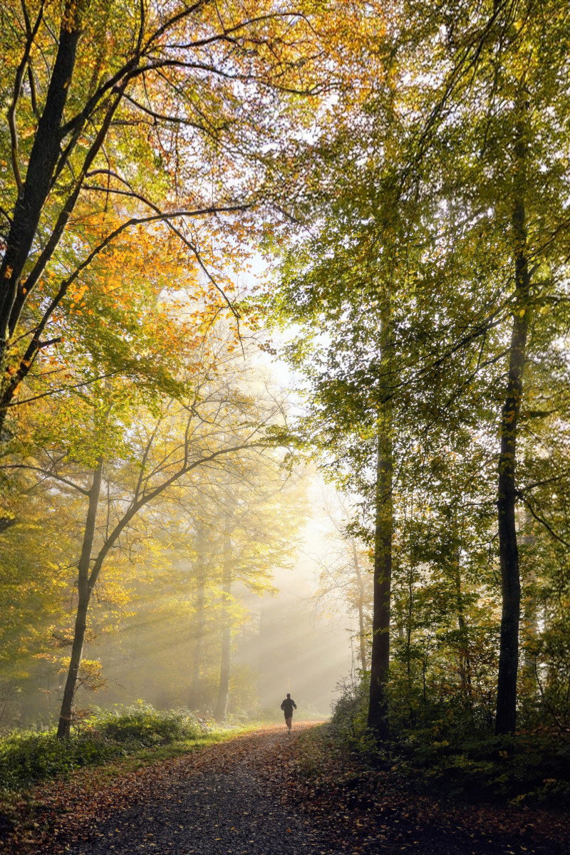 Glorious Morning Run