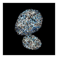 Cartographica