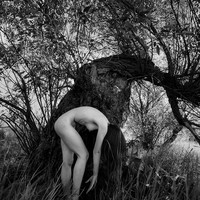 Traces of the Body. Echoes of the Land.