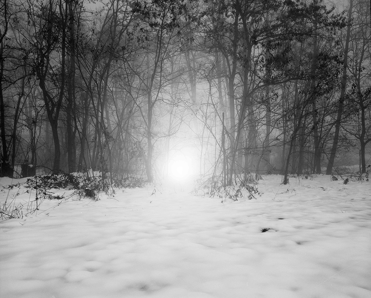 INTIMATE PATHS