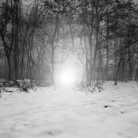 INTIMATE PATHS