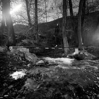 INTIMATE PATHS