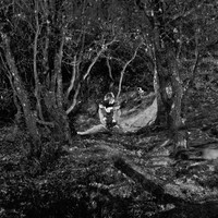 INTIMATE PATHS