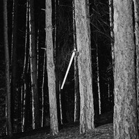 INTIMATE PATHS