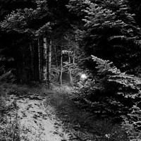 INTIMATE PATHS