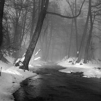 INTIMATE PATHS