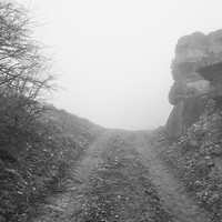 In Search of a Path