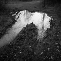 In Search of a Path