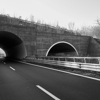 In Search of a Path