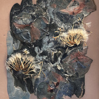 The Most Beautiful Anthropocene