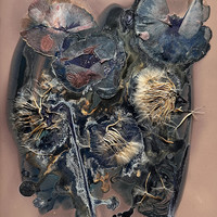 The Most Beautiful Anthropocene