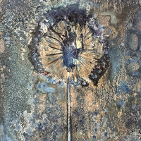 The Most Beautiful Anthropocene