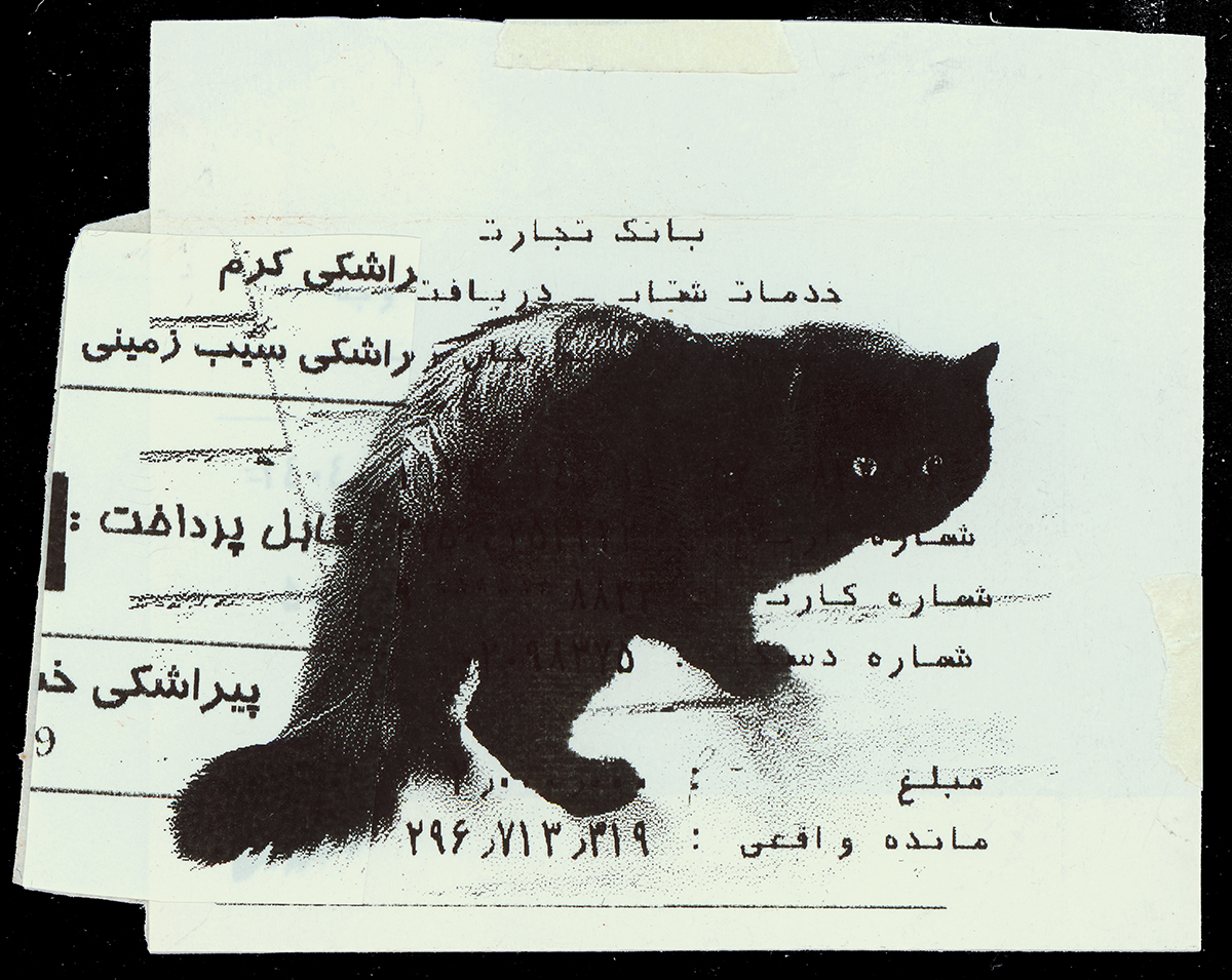 Absolute: Tehran Cats