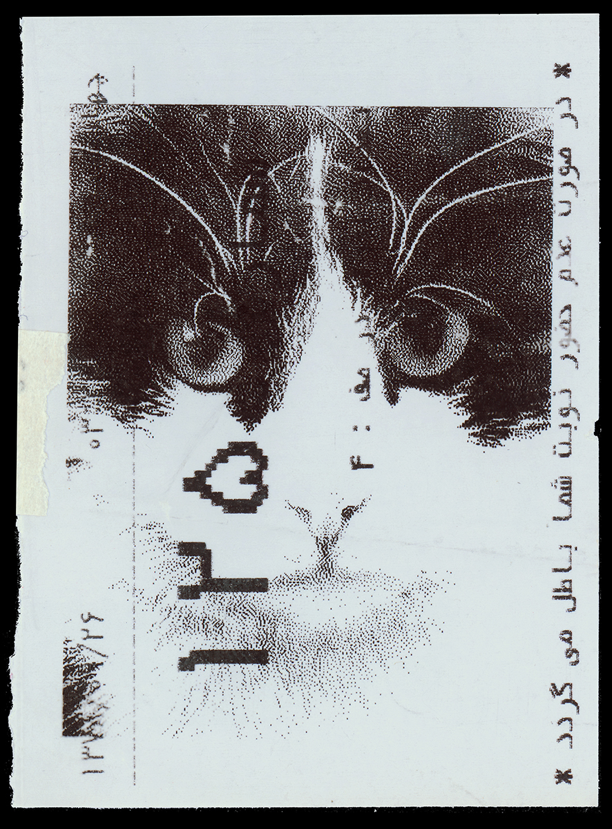 Absolute: Tehran Cats