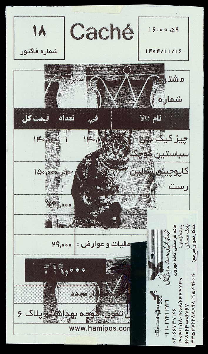 Absolute: Tehran Cats