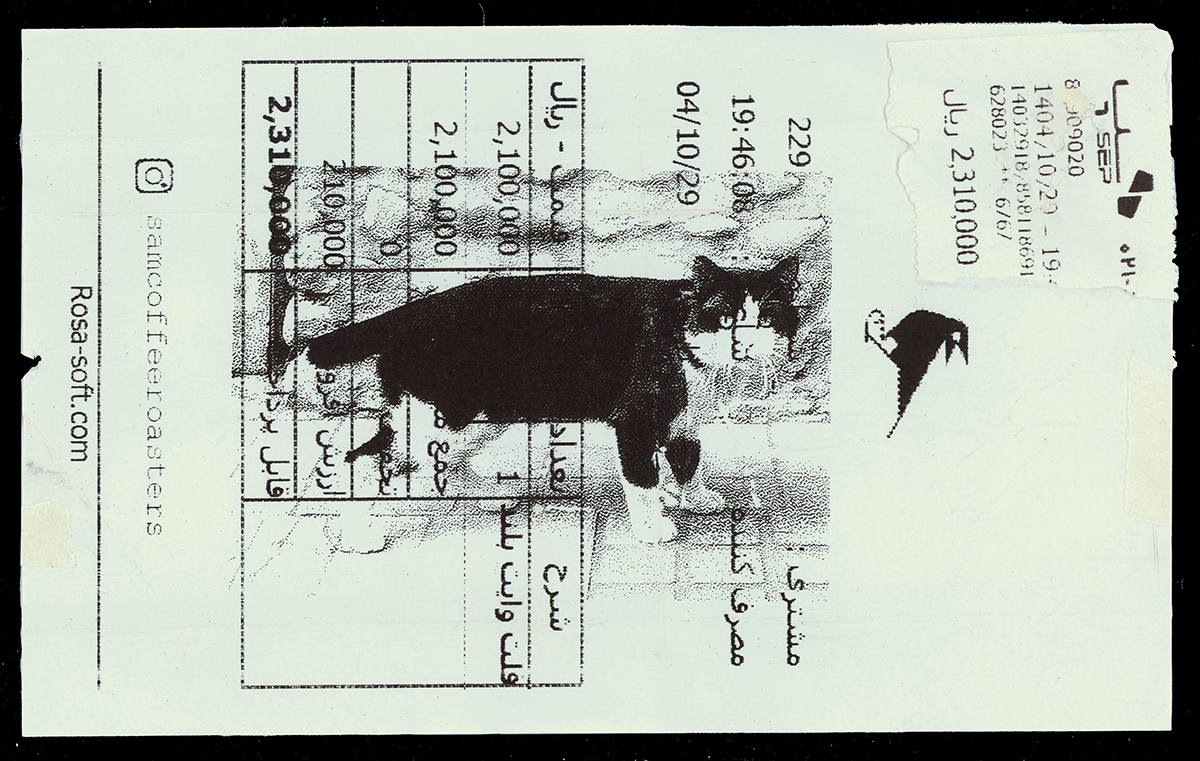 Absolute: Tehran Cats