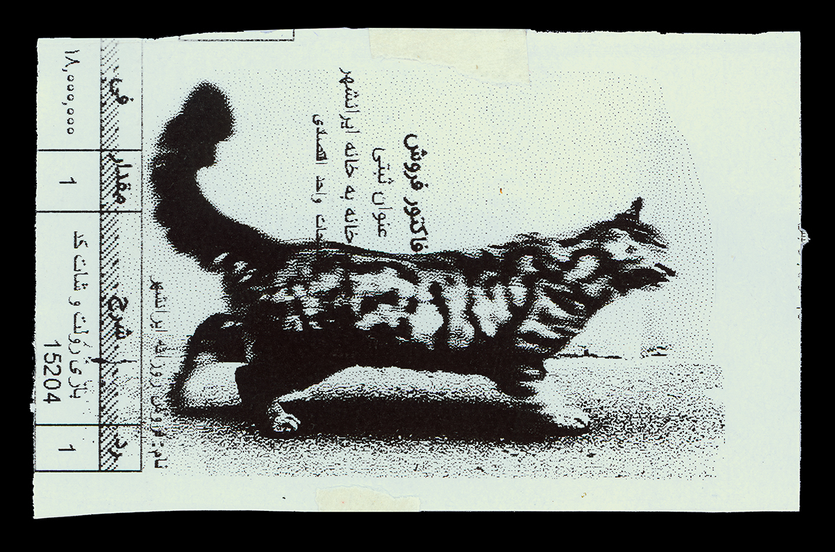 Absolute: Tehran Cats