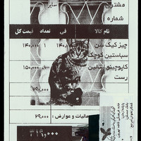 Absolute: Tehran Cats