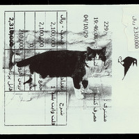 Absolute: Tehran Cats