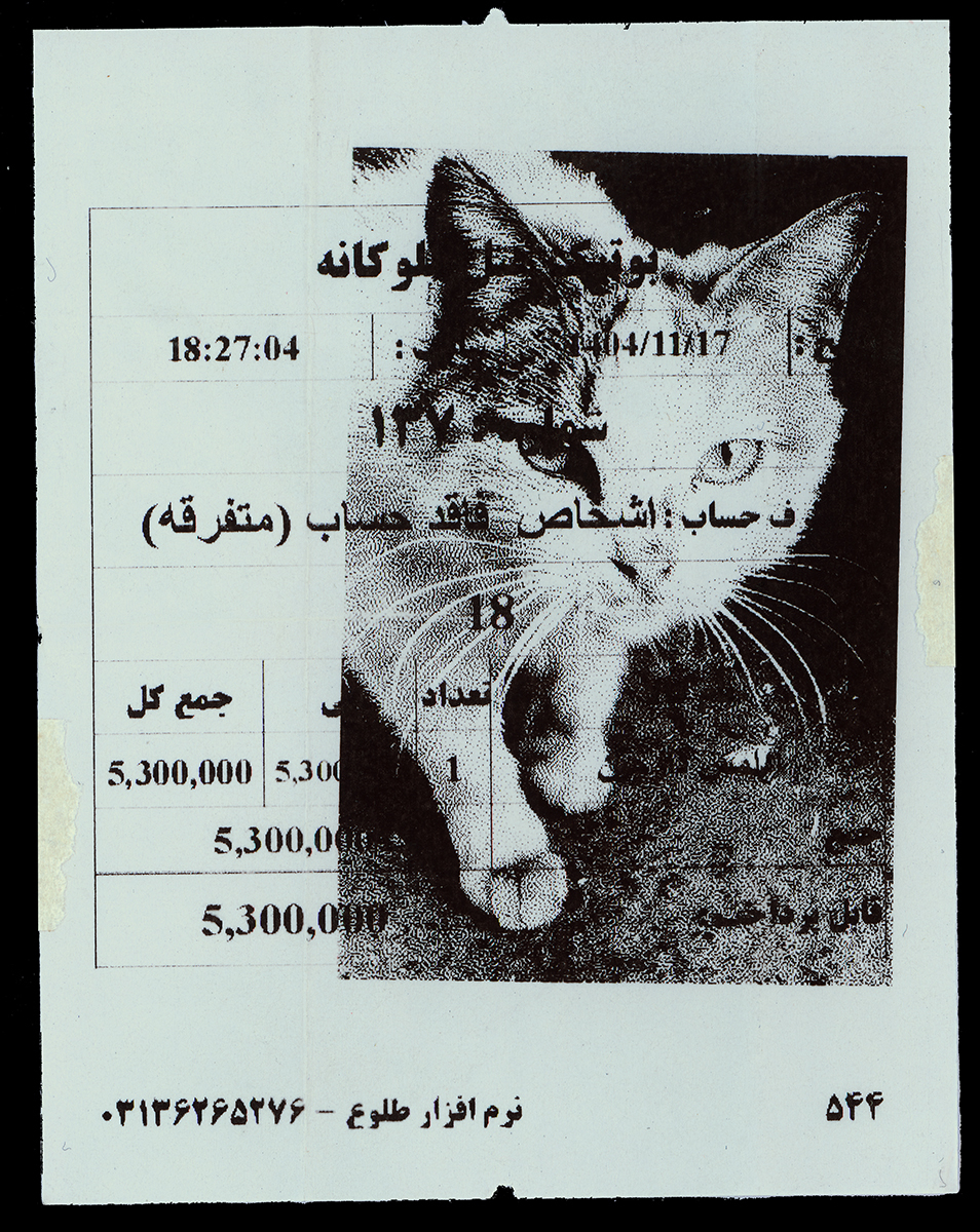 Absolute: Tehran Cats