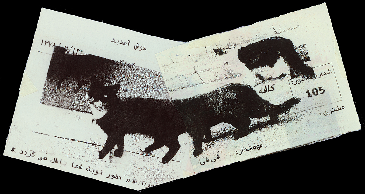 Absolute: Tehran Cats