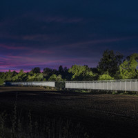Shared Horizon