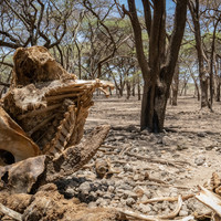 The hidden face of the sun