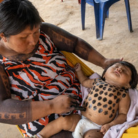 The myth of the puka-kam-kubens (or on the ravages of mining in Xikrin territory)