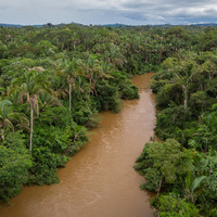 The myth of the puka-kam-kubens (or on the ravages of mining in Xikrin territory)