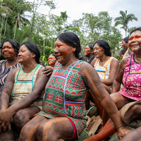 The myth of the puka-kam-kubens (or on the ravages of mining in Xikrin territory)