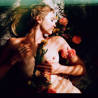 Fleurs et Lumiere 3