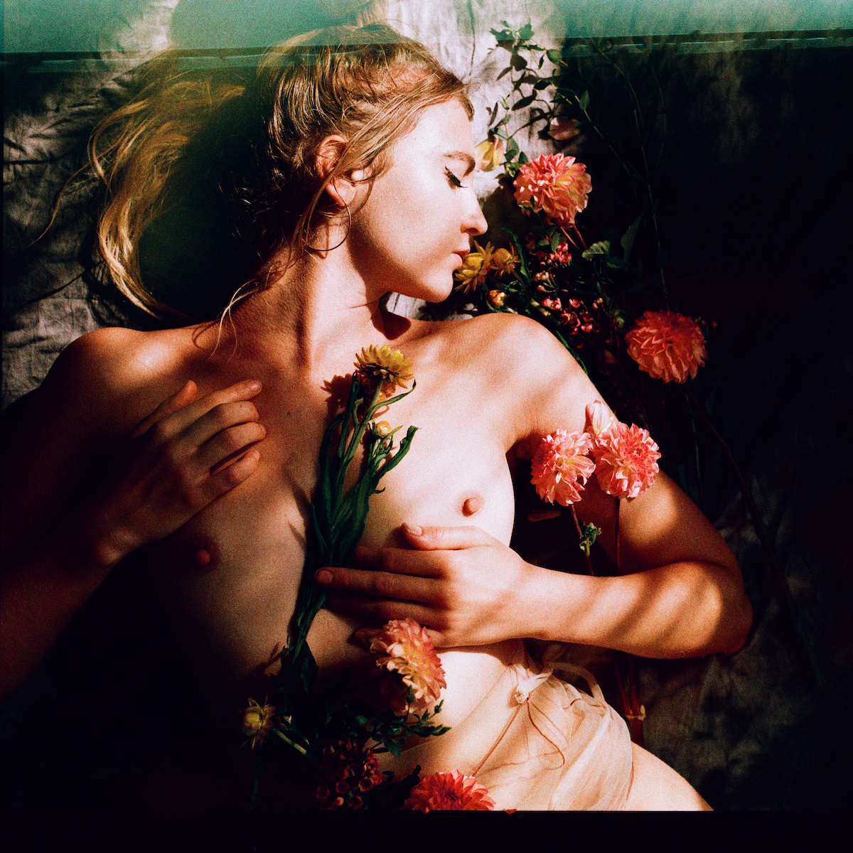 Fleurs et Lumiere 3