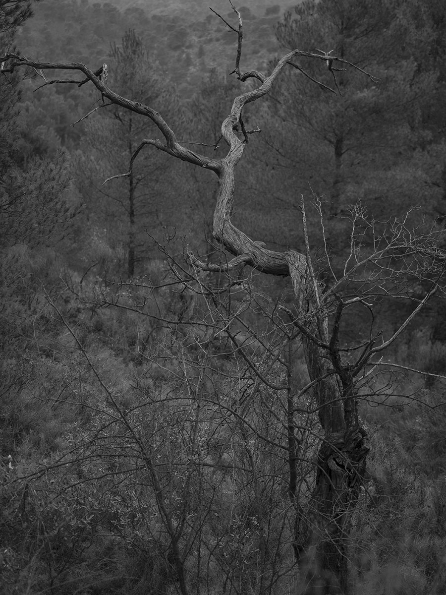 Dark Night of the Soul