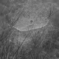 Dark Night of the Soul