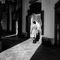 Light and Shadows