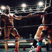 Lucha libre mexicana