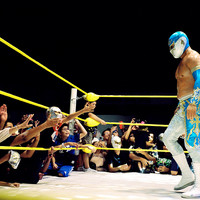 Lucha libre mexicana