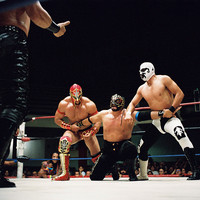 Lucha libre mexicana
